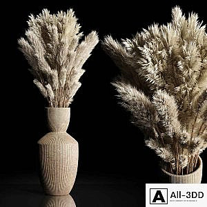 Dry Plants Bouquet Indoor concrete vase