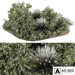 Green and White Bush - Outdoor Garden Set 325