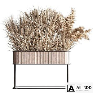 Indoor_Plant_Set_76(Dry_flowers_)