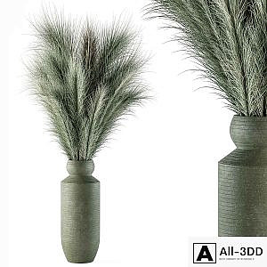 Dry plants 85 - Dried Green Branch