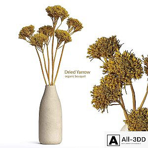 Dried Organic Bouquet Yarrow