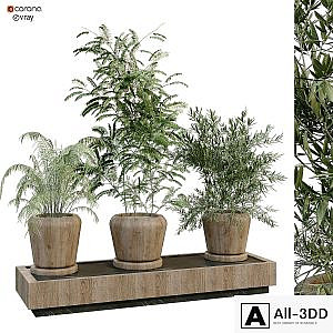 green plant box 269