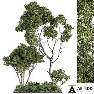 Garden Set Broadleaf Tree - Outdoor Plants Set 360