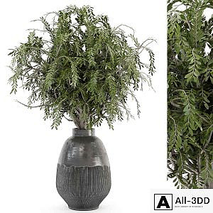 Bouquet Plants in rusty Concrete Pots - Set 562