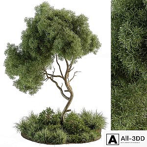 Garden Set Tree and Plants - Outdoor Plants Set 399
