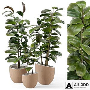 Indoor Plants in rusty Concrete Pot - Set 692