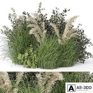 Outdoor Plants Bush-Bush Set 724