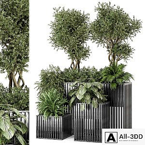 Outdoor Plants in Metal Pots - Set 802