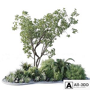 garden pot tree bush - Collection outdoor indoor 113