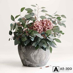 Bouquet of Eucalyptus with Hydrangea