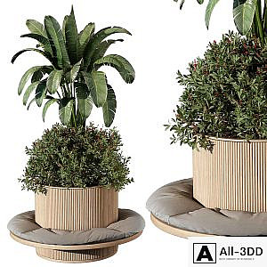 indoor Plant 249