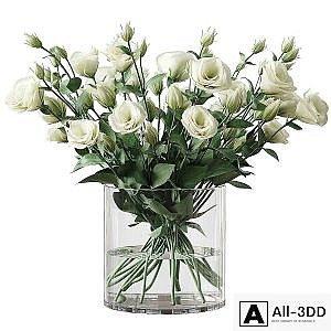 Eustoma 2