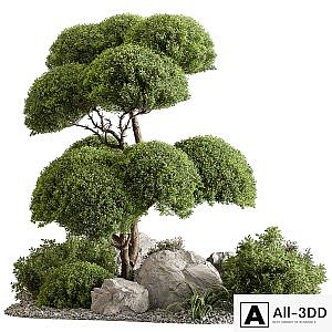 Garden Plants - Outdoor Plants 598