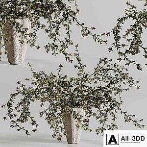 Plants Bouquet Vase 45