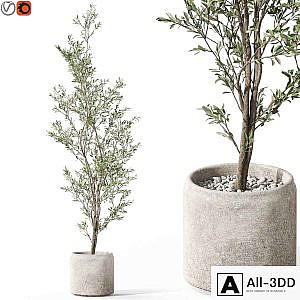 Plants collection 1050