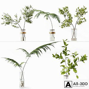 Collection Indoor Plants 058
