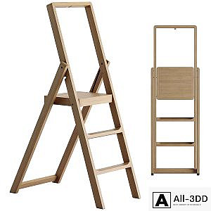 Step Stepladder