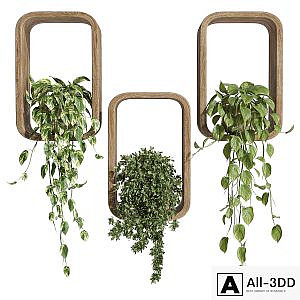 hanging plants on a box