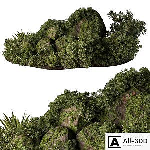 Garden Plants - Outdoor Plants 648