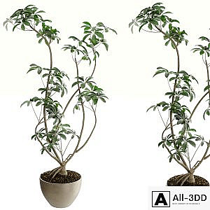 Plants set 04