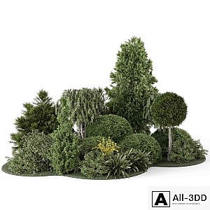 Outdoor Plants Bush Collection 2731
