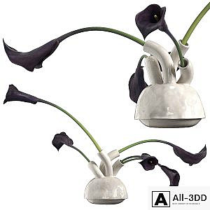 bouquet of calla lilies